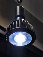 將圖片載入圖庫檢視器 Solskin LED 蔓生太陽光植物燈 21W